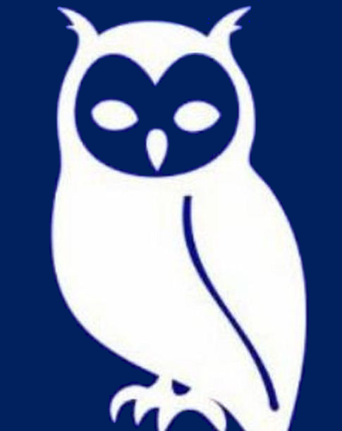 Owl 1