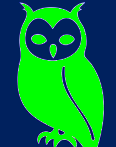 Owl 2