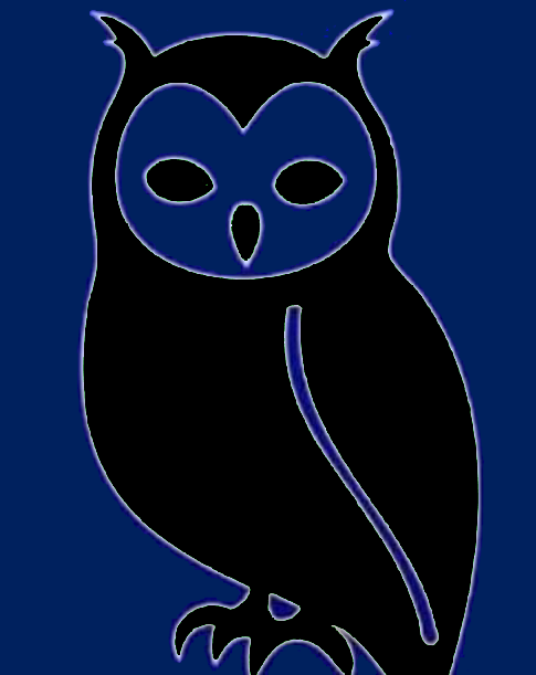 Owl 3